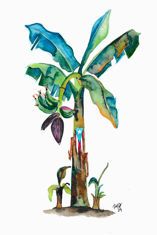 La Mancha de Plátano (Prints)