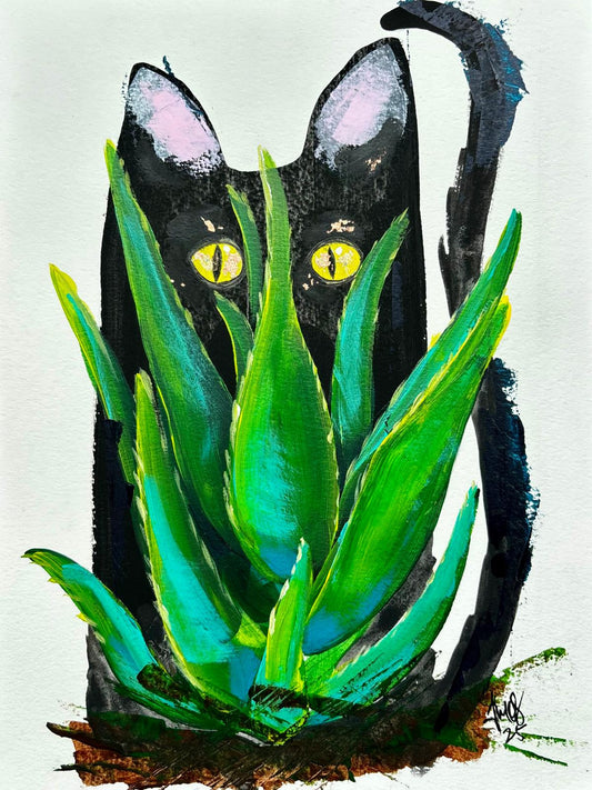 La Sávila y el Gato Negro