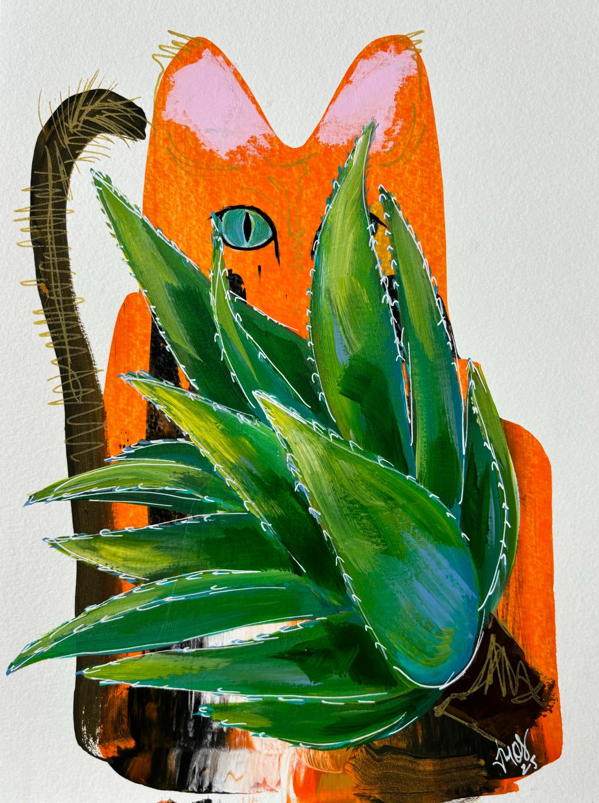 La Sávila y el Gato Anaranjado