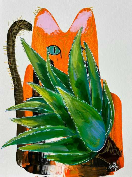 La Sávila y el Gato Anaranjado