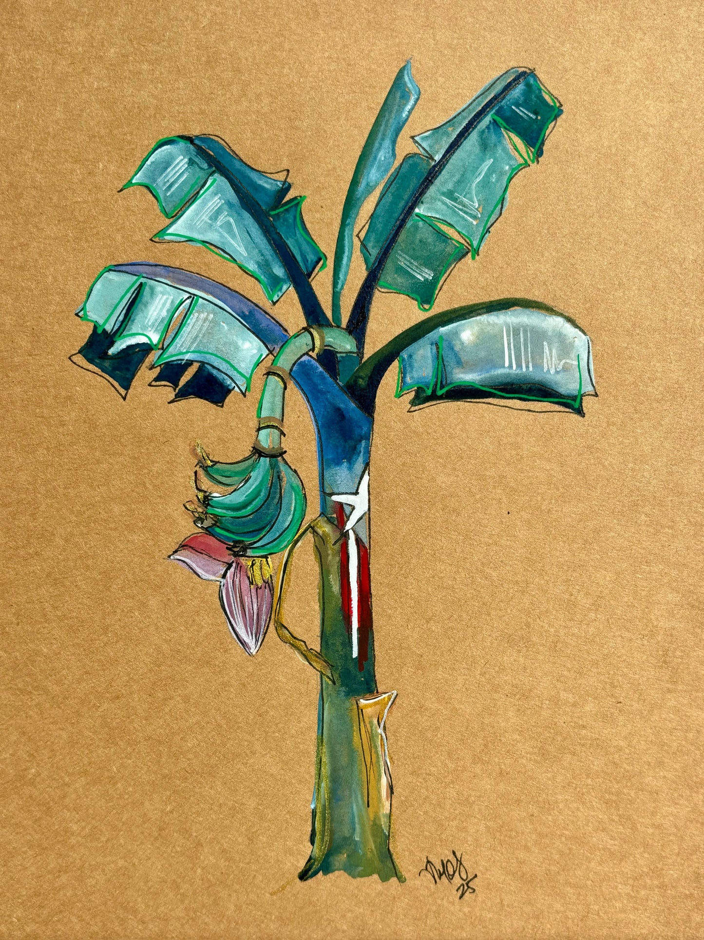 La Mata de Plátano (original)