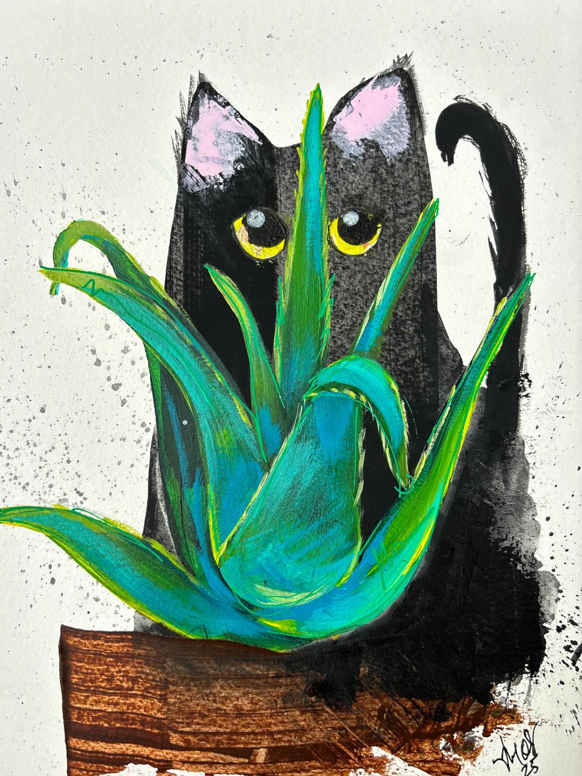 La Sávila y el Gato