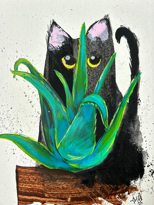 La Sávila y el Gato