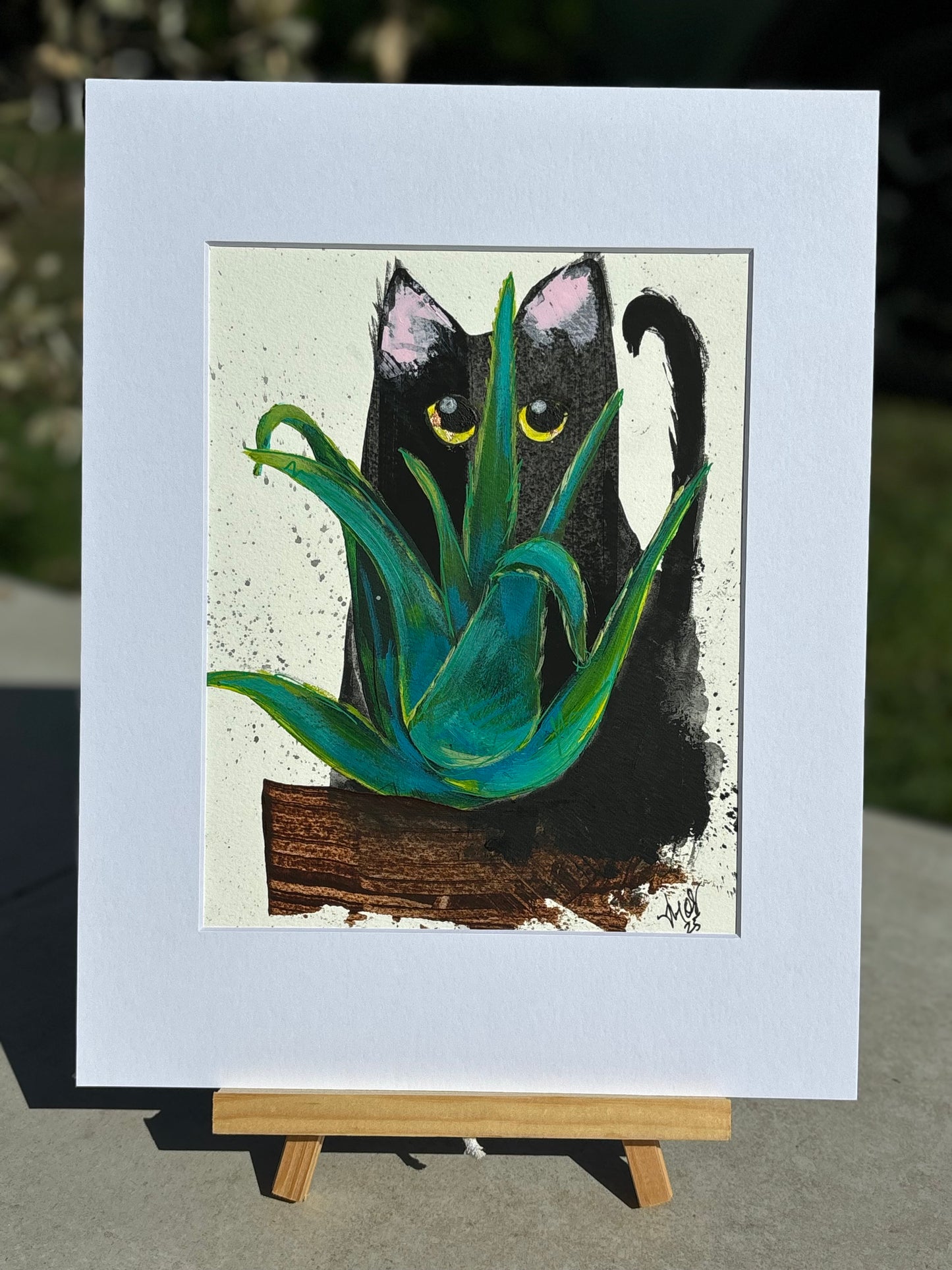 Black Cat and Aloe Vera