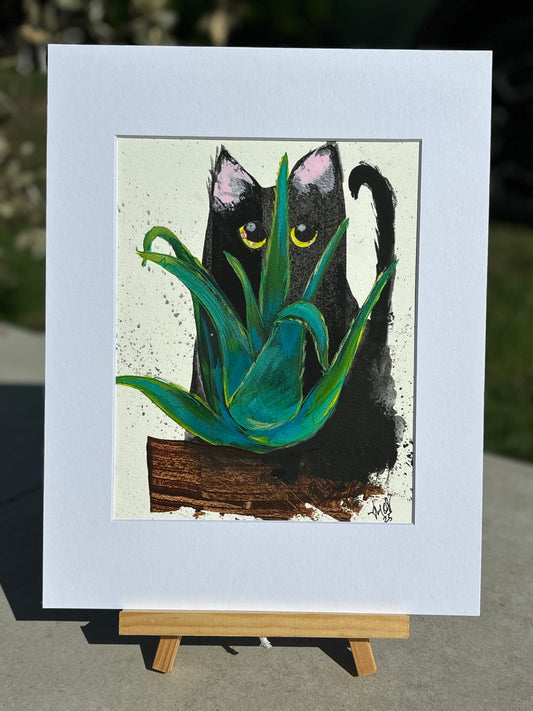 Black Cat and Aloe Vera