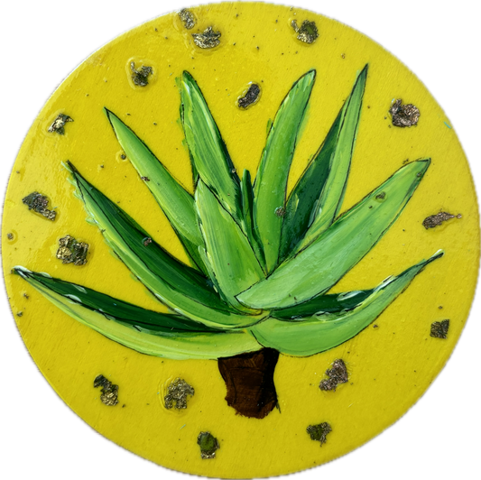 Aloe Vera