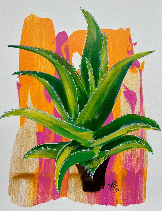 Aloe Vera Vibes