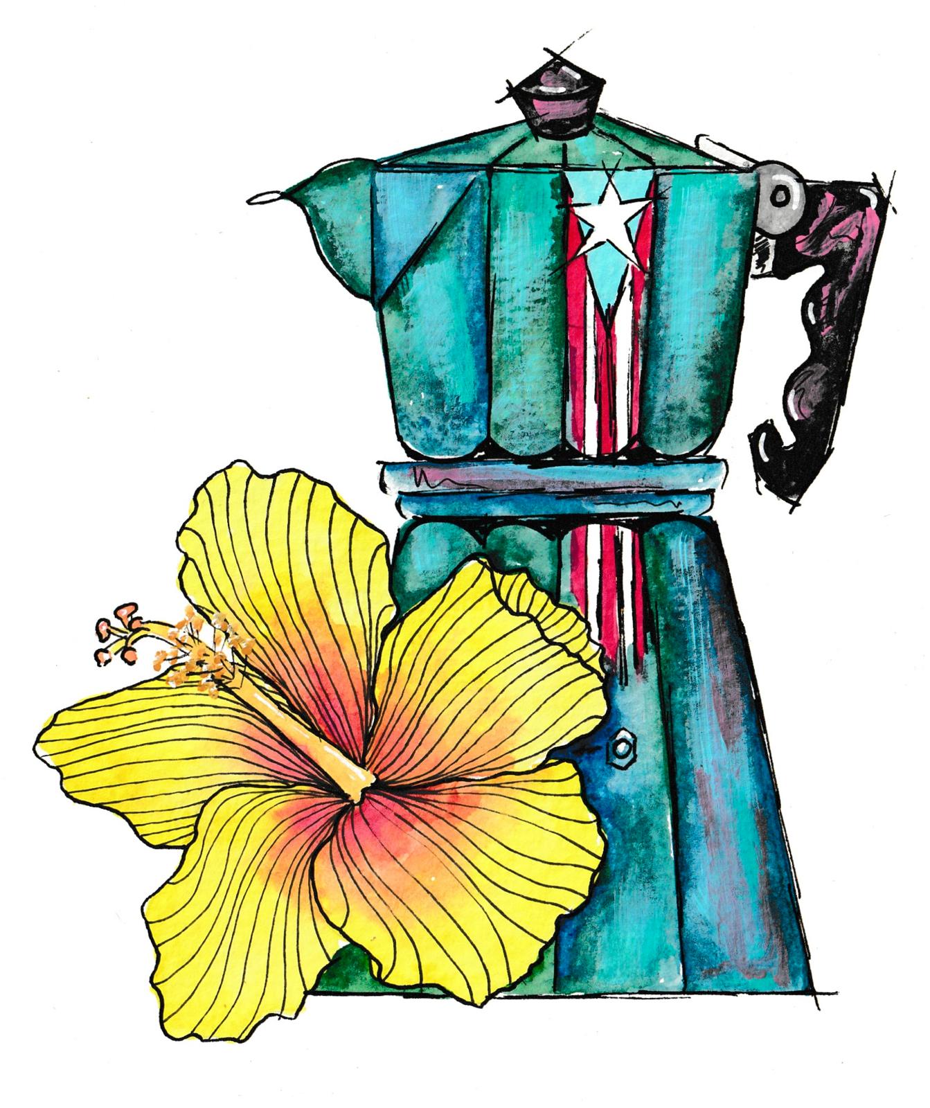 Amapola Amarilla (Prints)