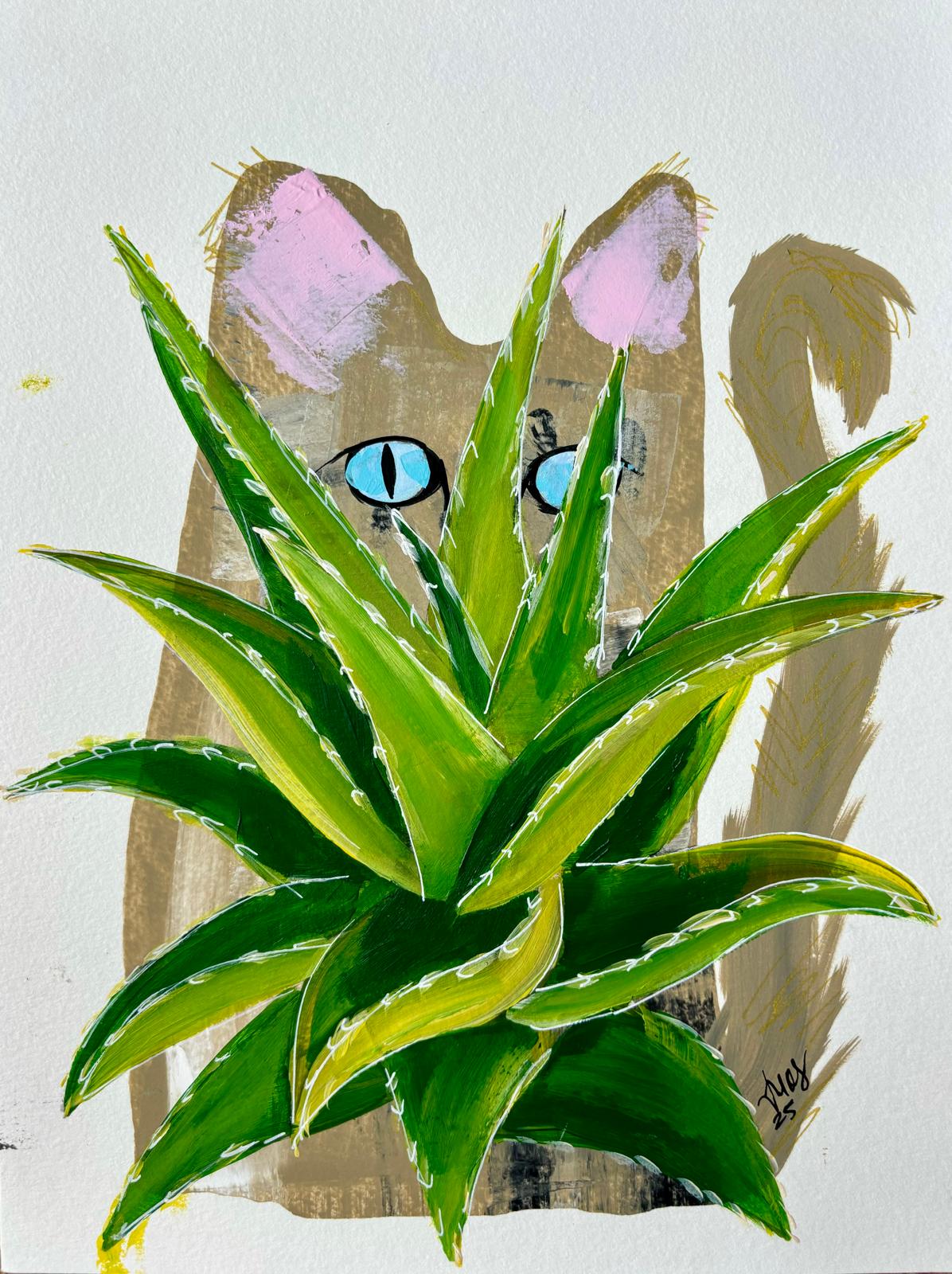 La Sávila y el Gato Gris