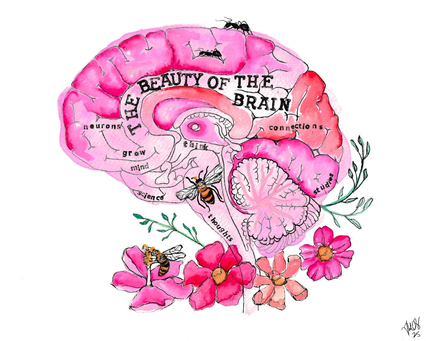 Brain (Prints)